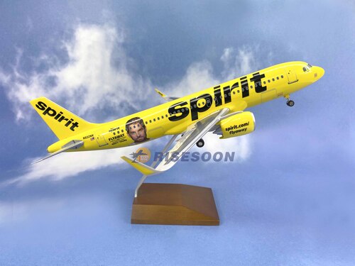Spirit Airlines ( Brett Young ) / A320 / 1:100  |AIRBUS|A320