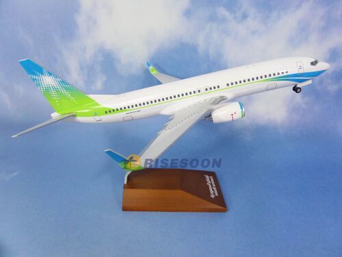 Saudi Aramco / B737-800 / 1:130  |BOEING|B737-800